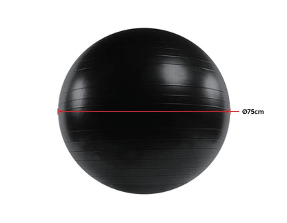 NNEDSZ Static Strength Exercise Stability Ball with Pump-2